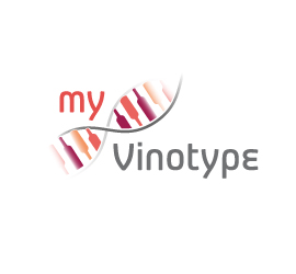 myvinotype